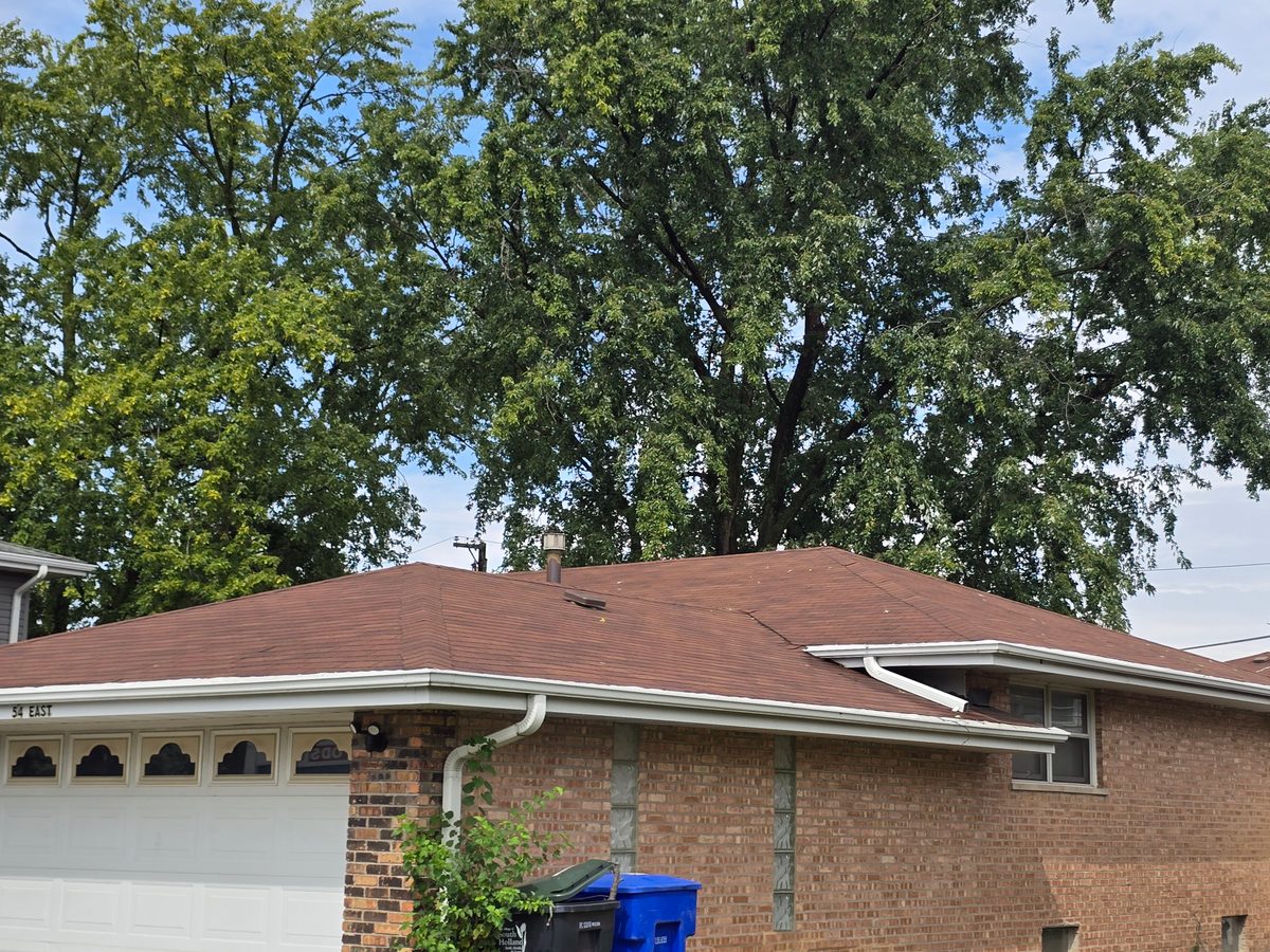 Roof Overview & Shingles